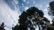 Βελτιωμένος σήμερα ο καιρός