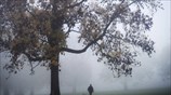 Ομίχλη στη Μ. Βρετανία