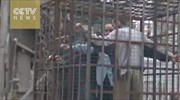 Για έγκλημα πολέμου με χρήση αμάχων σε κλουβιά ως ασπίδων κατηγορούνται Σύροι αντάρτες