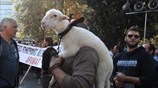 Συλλαλητήριο αγροτών και κτηνοτρόφων στην πλατεία Συντάγματος