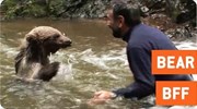 Όταν ένας άνδρας και μία αρκούδα... γίνονται φίλοι