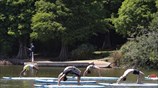 Γιόγκα σε σανίδες του σερφ