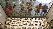 Αβεβαιότητα και απαισιοδοξία καταγράφει η ετήσια έκθεση ελληνικού εμπορίου της ΕΣΕΕ