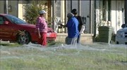 ΗΠΑ: Χιλιάδες αράχνες σχηματίζουν τεράστιο ιστό