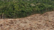Η αποψίλωση του τροπικού δάσους του Αμαζονίου αυξήθηκε κατά 16% το 2015