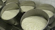 Έκλεψαν πλήθος τυροκομικών από τον Γαλακτοκομικό Συνεταιρισμό Ανωγείων