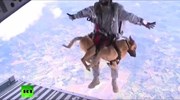 Κολομβία: Στρατιωτική εκπαίδευση για... σκύλους