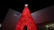 Φωτογραφικό ταξίδι στα χριστουγεννιάτικα δέντρα του κόσμου