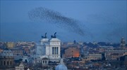 Ρώμη: «Κατακλυσμός» περιττωμάτων από εκατομμύρια αποδημητικά πτηνά