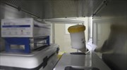 Ουκρανία: 25 άνθρωποι έχασαν τη ζωή τους από γρίπη των χοίρων