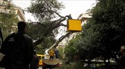 Προβλήματα από τους ισχυρούς ανέμους στην Αττική