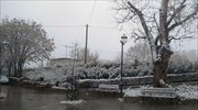 Χιονιάς και στον νομό Λάρισας