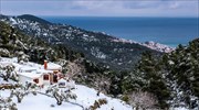 Χιόνια σε Μαγνησία, Σκόπελο και Αλόννησο