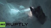 Σκύλοι - διασώστες εκπαιδεύονται στο χιόνι