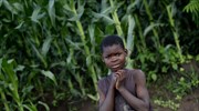 Ξηρασία στο Μαλάουι