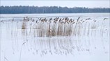 Λίμνη στη Λευκορωσία