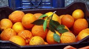 Δέσμευση 17,5 τόνων πορτοκαλιών λόγω έλλειψης σήμανσης