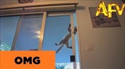 Γάτα Spiderman
