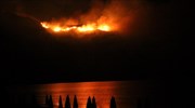 Μεγάλη φωτιά καίει πευκοδάσος στη Σκόπελο
