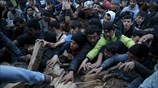 Στην αναμονή για καυσόξυλα