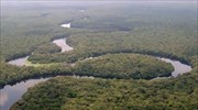 Η Λαϊκή Δημοκρατία του Κονγκό ανοίγει τα τροπικά δάση της στους υλοτόμους