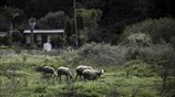 Ταξίδι στις Θερμοπύλες