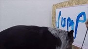 Έξυπνο κόλεϊ ξέρει να γράφει το όνομά του