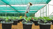 BASF και Bayer προσεγγίζει η Monsanto