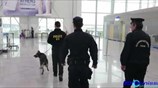 Αυξημένα μέτρα ασφαλείας στο αεροδρόμιο «Ελευθέριος Βενιζέλος»