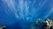 Φυσαλίδες αέρα για την προστασία των κοραλλιογενών υφάλων