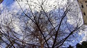 Τοπικές βροχές και καταιγίδες
