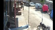 Μαϊμού ρίχνει περαστικό νοκ άουτ