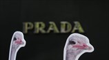 Διαμαρτυρία της PETA στην Μαλαισία 