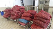 Κατάσχεση ακατάλληλων οστράκων στην Αλεξανδρούπολη