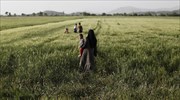Σχεδόν 54.000 πρόσφυγες και μετανάστες στη σημερινή καταμέτρηση