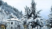 «Στα λευκά» τα ορεινά της δυτικής Μακεδονίας