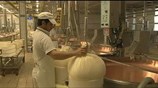 Ευρωζώνη: Θετικά νέα για την απασχόληση από τη βιομηχανία
