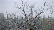 Χιόνια στα ορεινά της Ηπείρου