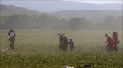 Περίπου 2.000 μετανάστες επέστρεψαν στις πατρίδες τους μέσω του προγράμματος του ΔΟΜ