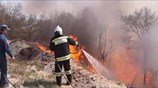 Ρωσία: Δεκάδες πύρινα μέτωπα στη Σιβηρία