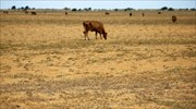Το Ελ Νίνιο και η ξηρασία απειλούν 32 εκατομμύρια Αφρικανούς
