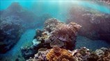 Αυστραλία: Σοβαρή απειλή κατά του Μεγάλου Κοραλλιογενούς Υφάλου