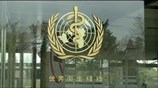 Ζίκα: Σεξ με προφυλάξεις για 8 εβδομάδες συστήνει ο ΠΟΥ