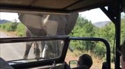 Τετ α τετ του Σβαρτσενέγκερ με έναν… ελέφαντα