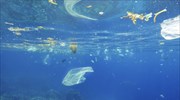 Τα μικροπλαστικά στον ωκεανό σκοτώνουν τα ψάρια γρηγορότερα από ό,τι αναπαράγονται