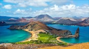 Γενετικά τροποποιημένοι αρουραίοι για τη διάσωση της βιοποικιλότητας στα Νησιά Γκαλαπάγκος