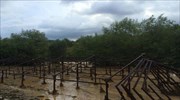 Κομοτηνή: Προβλήματα λόγω έντονης βροχόπτωσης