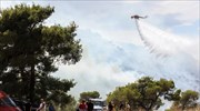 Συνολικά 56 δασικές πυρκαγιές το τελευταίο 24ωρο στη δυτική Αττική