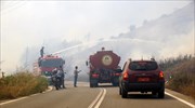 Υπό μερικό έλεγχο η φωτιά στη νότια Ρόδο