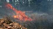 Πυρκαγιά κοντά στο δάσος Συγγρού